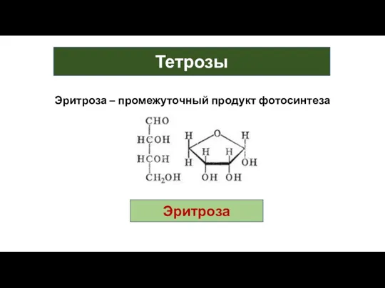 Тетрозы Эритроза – промежуточный продукт фотосинтеза Эритроза