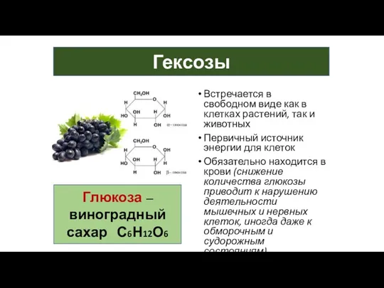 Гексозы Глюкоза – виноградный сахар С6Н12О6 Встречается в свободном виде