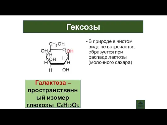 Гексозы Галактоза – пространственный изомер глюкозы С6Н12О6 В природе в