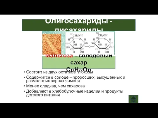 Олигосахариды - дисахариды Мальтоза – солодовый сахар С12Н22О11 Состоит из