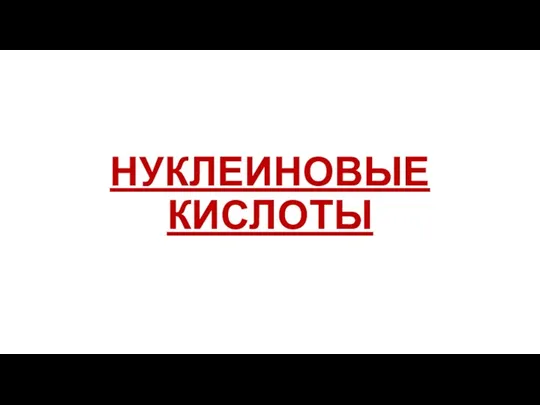 НУКЛЕИНОВЫЕ КИСЛОТЫ