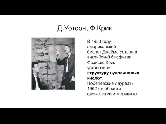 Д.Уотсон, Ф.Крик В 1953 году американский биолог Джеймс Уотсон и