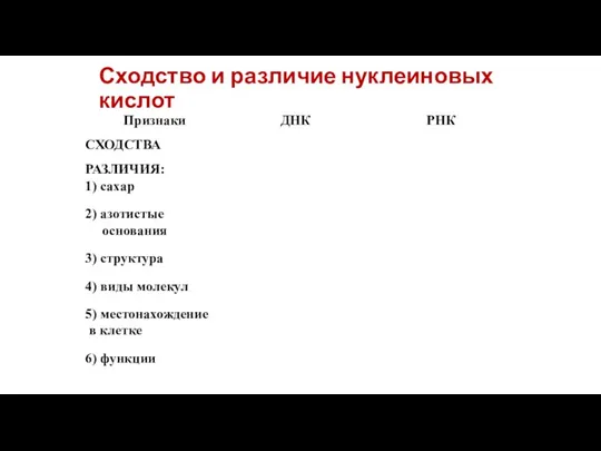 Сходство и различие нуклеиновых кислот