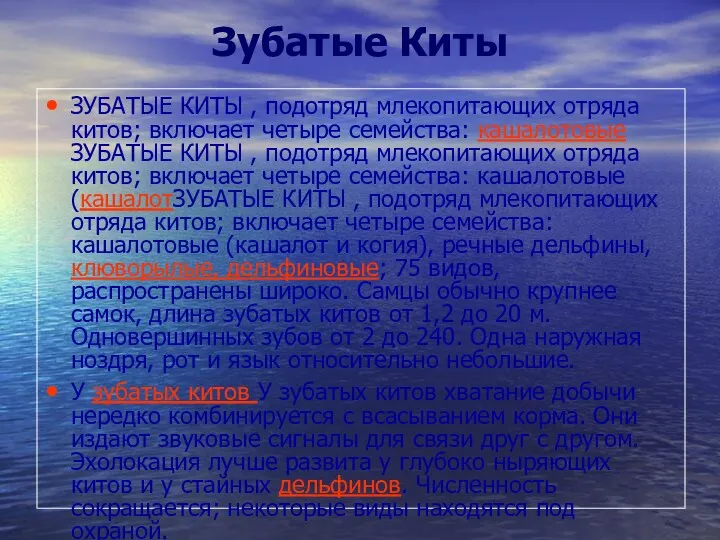 Зубатые Киты ЗУБАТЫЕ КИТЫ , подотряд млекопитающих отряда китов; включает