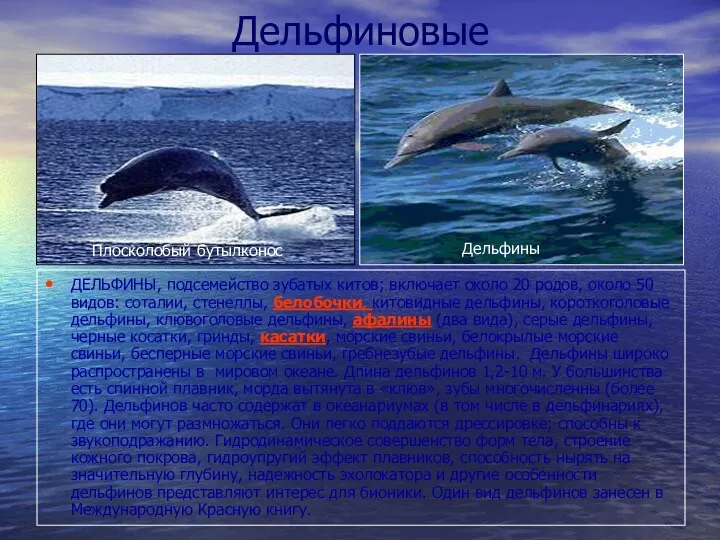 Дельфиновые ДЕЛЬФИНЫ, подсемейство зубатых китов; включает около 20 родов, около