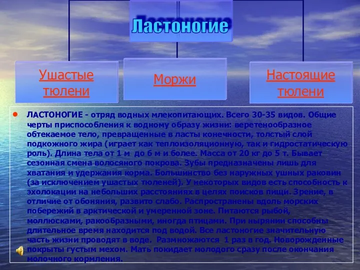 ЛАСТОНОГИЕ - отряд водных млекопитающих. Всего 30-35 видов. Общие черты