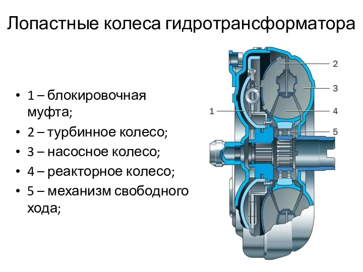 Лопастные колеса гидротрансформатора 1 – блокировочная муфта; 2 – турбинное