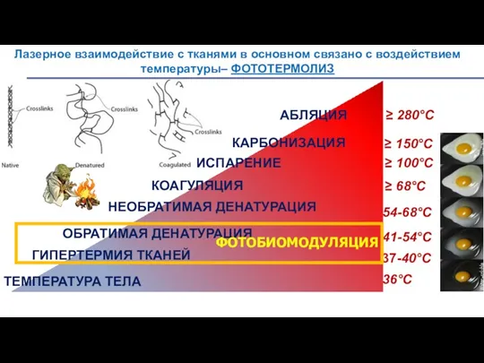 ТЕМПЕРАТУРА ТЕЛА КОАГУЛЯЦИЯ 36°C 37-40°C ≥ 68°C Лазерное взаимодействие с