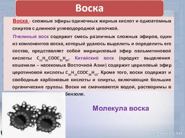 Воска - сложные эфиры одиночных жирных кислот и одноатомных спиртов