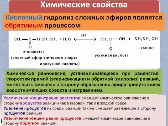 Кислотный гидролиз сложных эфиров является обратимым процессом: Химическое равновесие, устанавливающееся