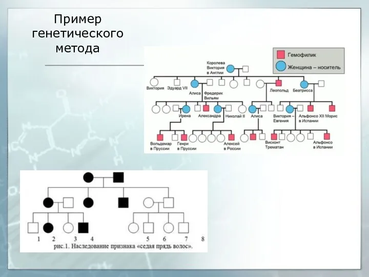 Пример генетического метода