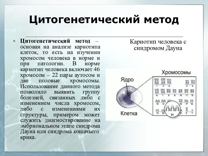 Цитогенетический метод Кариотип человека с синдромом Дауна Цитогенетический метод –