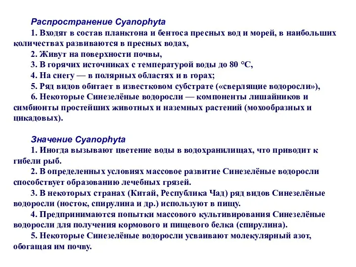 Распространение Cyanophyta 1. Входят в состав планктона и бентоса пресных