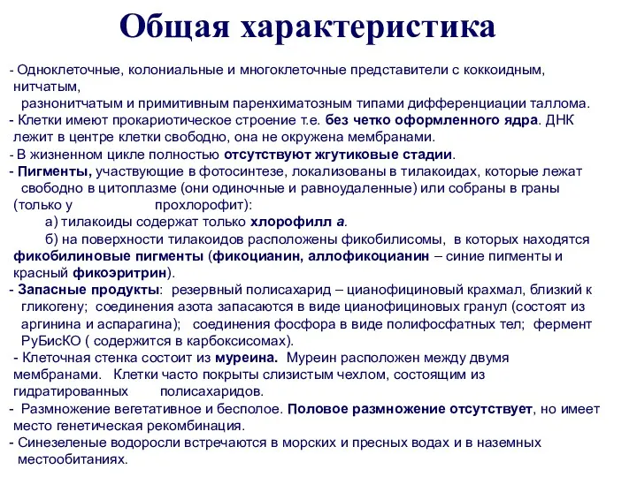 Общая характеристика Одноклеточные, колониальные и многоклеточные представители с коккоидным, нитчатым,