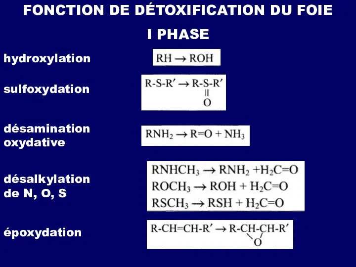 FONCTION DE DÉTOXIFICATION DU FOIE I PHASE hydroxylation sulfoxydation désamination