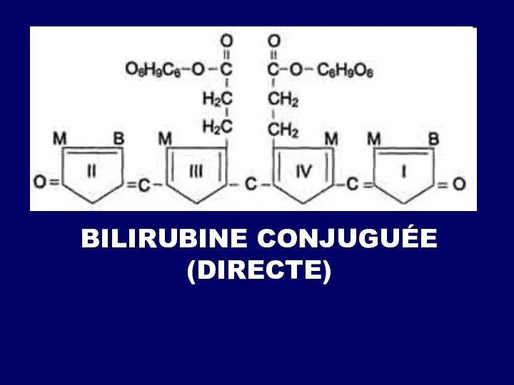 BILIRUBINE CONJUGUÉE (DIRECTE)