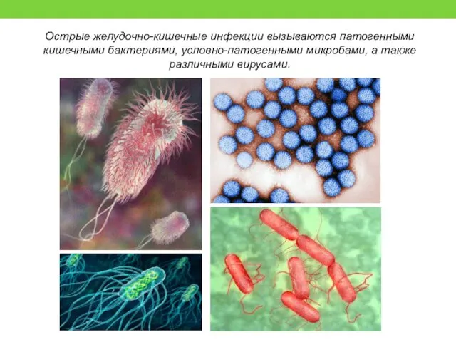 Острые желудочно-кишечные инфекции вызываются патогенными кишечными бактериями, условно-патогенными микробами, а также различными вирусами.