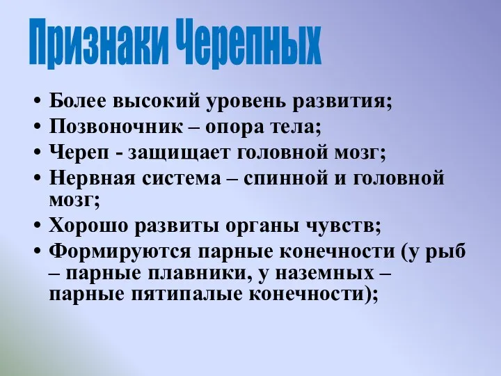 Более высокий уровень развития; Позвоночник – опора тела; Череп -