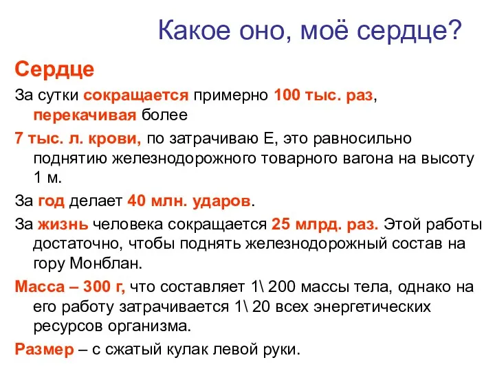 Какое оно, моё сердце? Сердце За сутки сокращается примерно 100