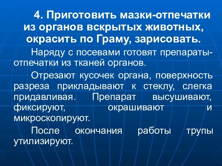 4. Приготовить мазки-отпечатки из органов вскрытых животных, окрасить по Граму,