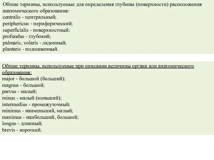 Общие термины, используемые для определения глубины (поверхности) расположения анатомического образования: