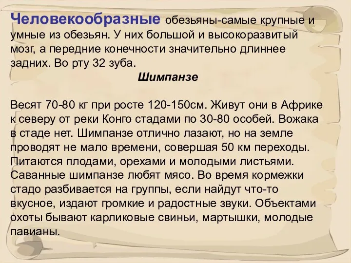 Человекообразные обезьяны-самые крупные и умные из обезьян. У них большой и высокоразвитый мозг,