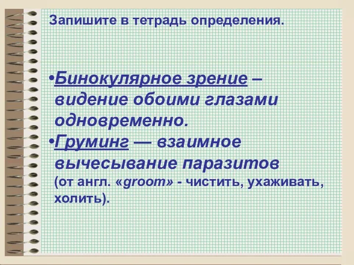 Запишите в тетрадь определения. Бинокулярное зрение – видение обоими глазами