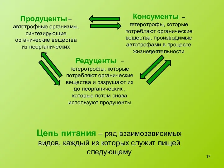 Продуценты – автотрофные организмы, синтезирующие органические вещества из неорганических Цепь