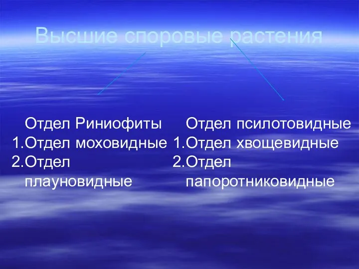 Высшие споровые растения Отдел Риниофиты Отдел моховидные Отдел плауновидные Отдел псилотовидные Отдел хвощевидные Отдел папоротниковидные