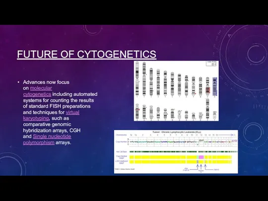 FUTURE OF CYTOGENETICS Advances now focus on molecular cytogenetics including automated systems for