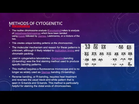 METHODS OF CYTOGENETIC Karyotyping The routine chromosome analysis (Karyotyping) refers