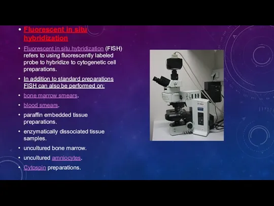 Fluorescent in situ hybridization Fluorescent in situ hybridization (FISH) refers