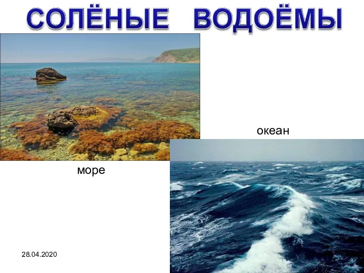 28.04.2020 море океан