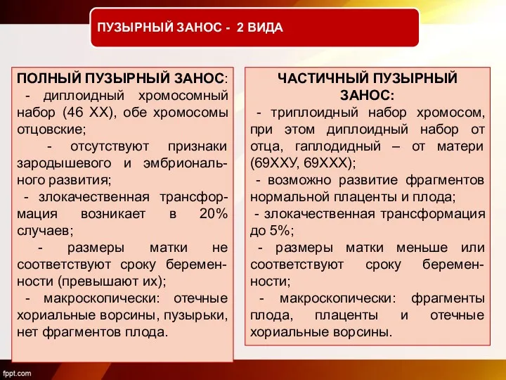 ПУЗЫРНЫЙ ЗАНОС - 2 ВИДА ПОЛНЫЙ ПУЗЫРНЫЙ ЗАНОС: - диплоидный