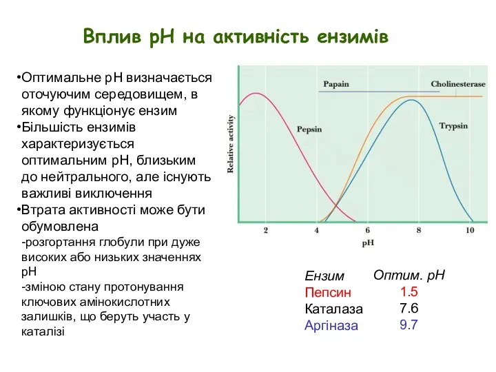 Вплив рН на активність ензимів Ензим Пепсин Каталаза Аргіназа Оптим.