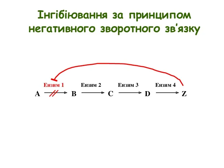 Інгібіювання за принципом негативного зворотного зв’язку