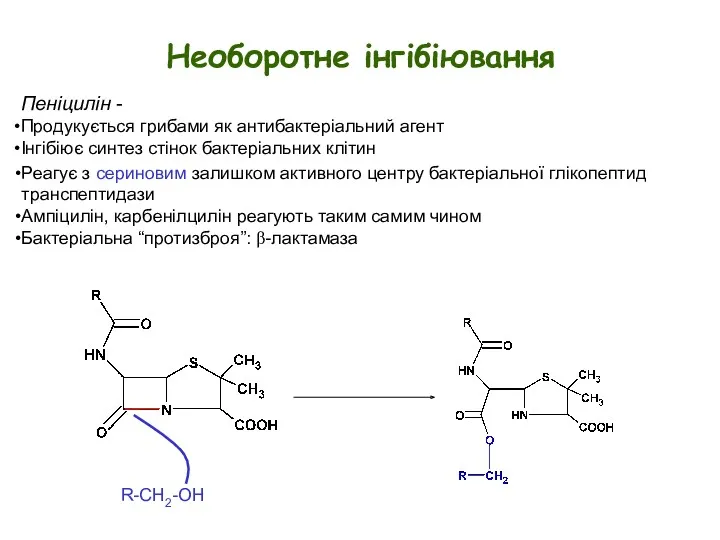 Необоротне інгібіювання Пеніцилін - Продукується грибами як антибактеріальний агент Інгібіює
