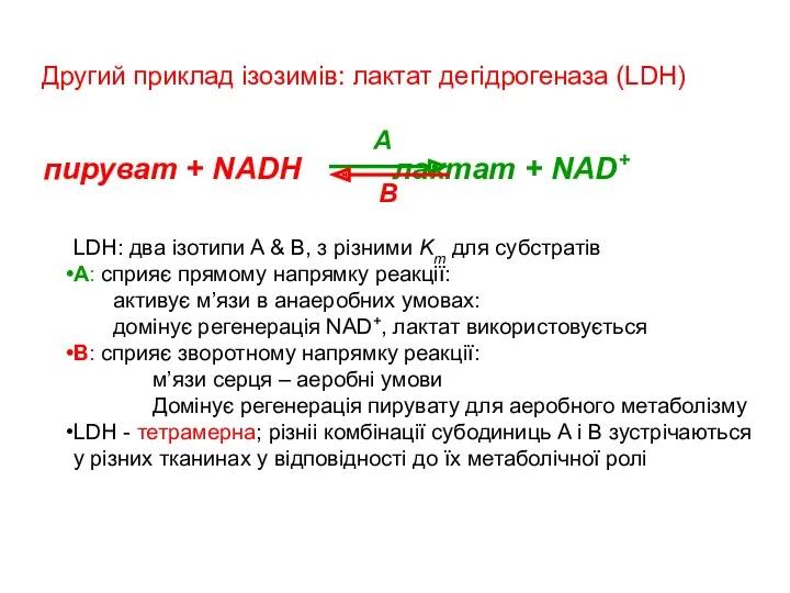 Другий приклад ізозимів: лактат дегідрогеназа (LDH) пируват + NADH лактат