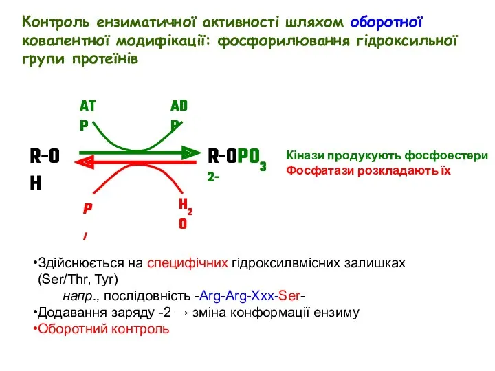 Здійснюється на специфічних гідроксилвмісних залишках (Ser/Thr, Tyr) напр., послідовність -Arg-Arg-Xxx-Ser-