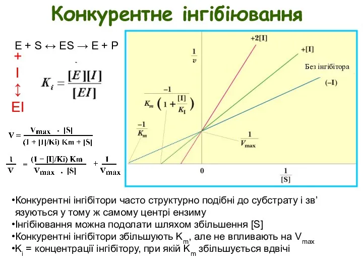 Конкурентне інгібіювання E + S ↔ ES → E +