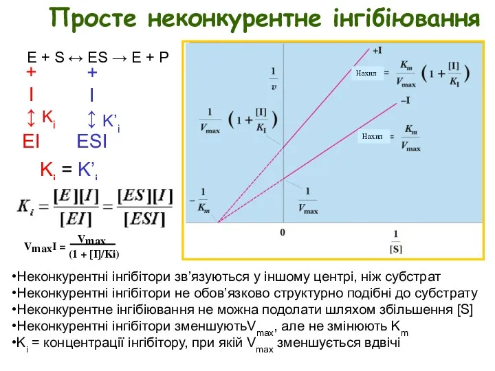 Просте неконкурентне інгібіювання E + S ↔ ES → E