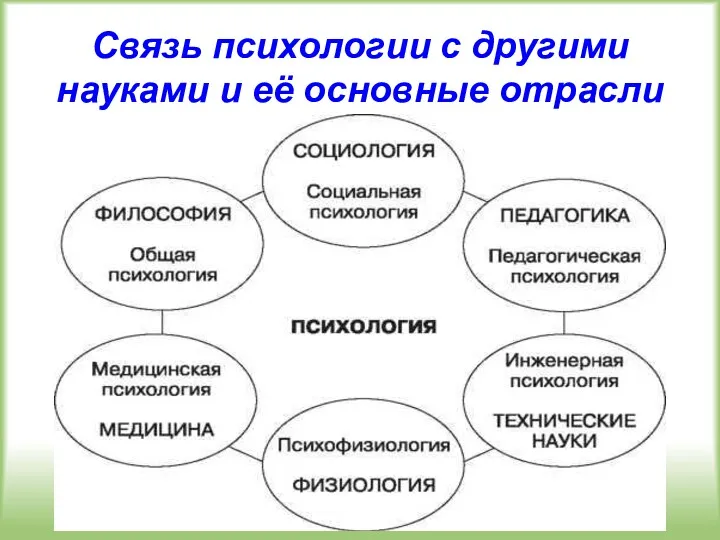 Связь психологии с другими науками и её основные отрасли