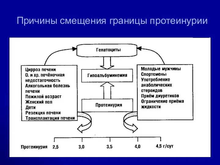 Причины смещения границы протеинурии