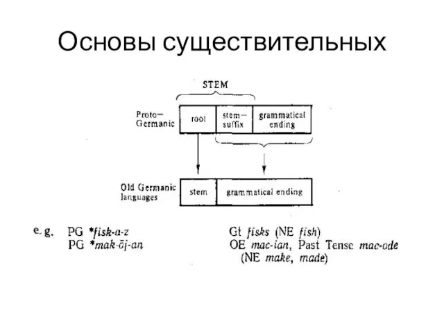 Основы существительных