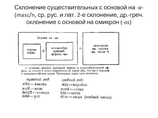 Склонение существительных с основой на -a- (masc/n, ср. рус. и