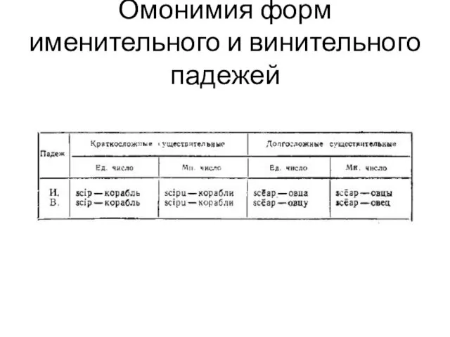 Омонимия форм именительного и винительного падежей