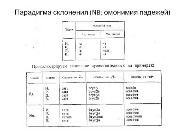 Парадигма склонения (NB: омонимия падежей)