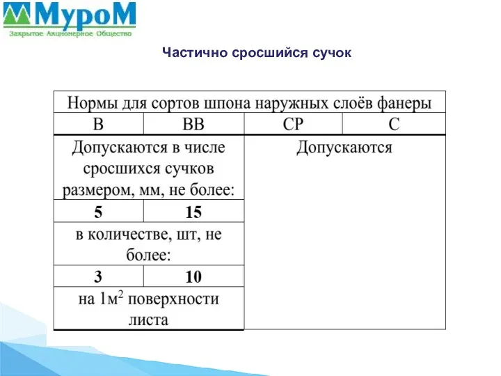 Частично сросшийся сучок