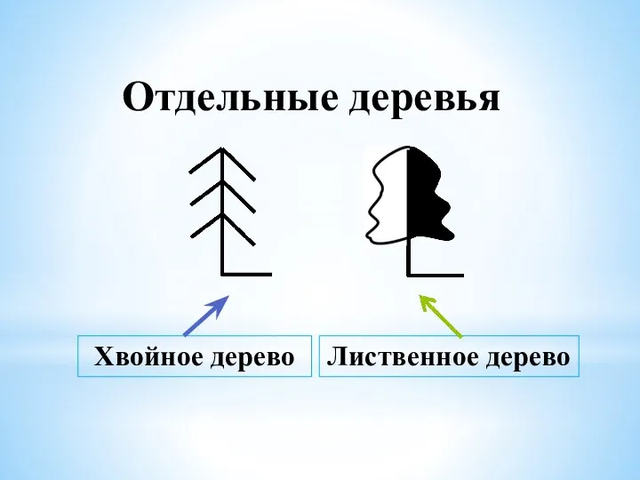 Отдельные деревья Хвойное дерево Лиственное дерево