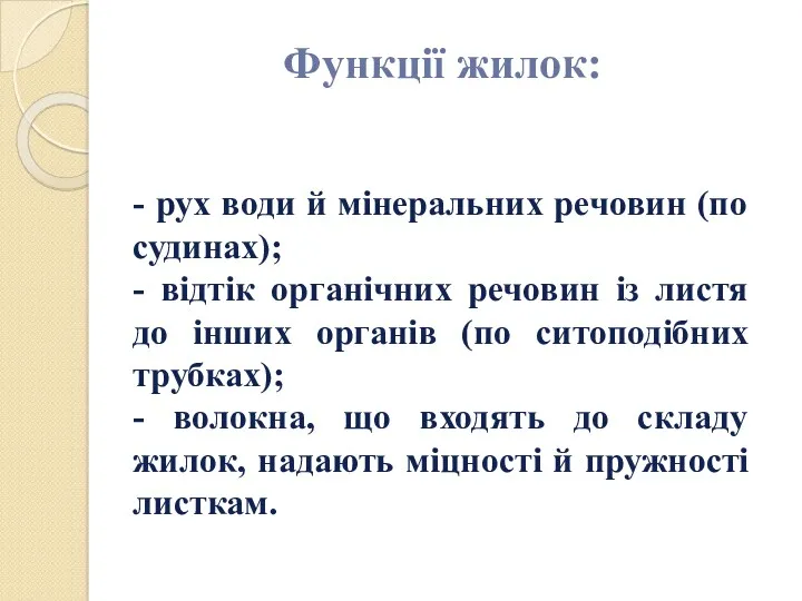 Функції жилок: - рух води й мінеральних речовин (по судинах);